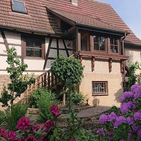 Apartment Neckarschleife-apartment